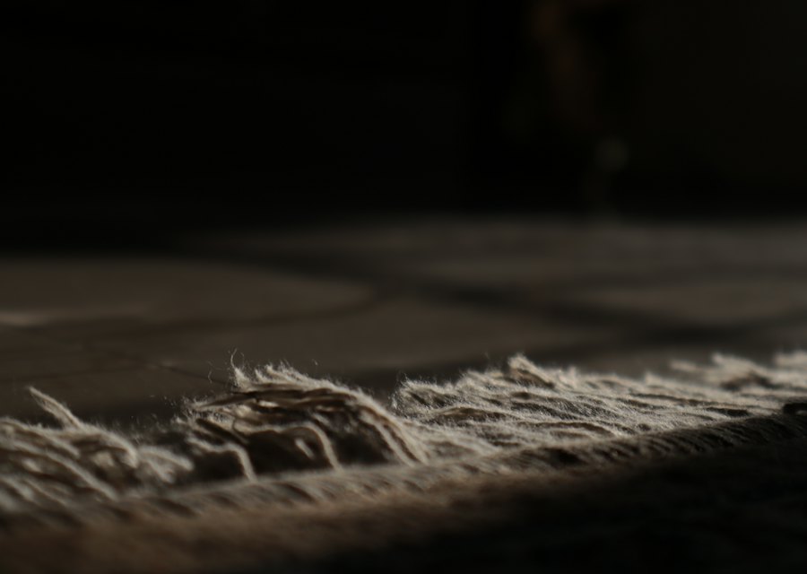 Before: carpet, uncleaned (example image)