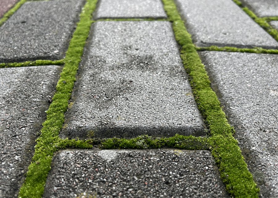 Before: driveway, uncleaned (example image)