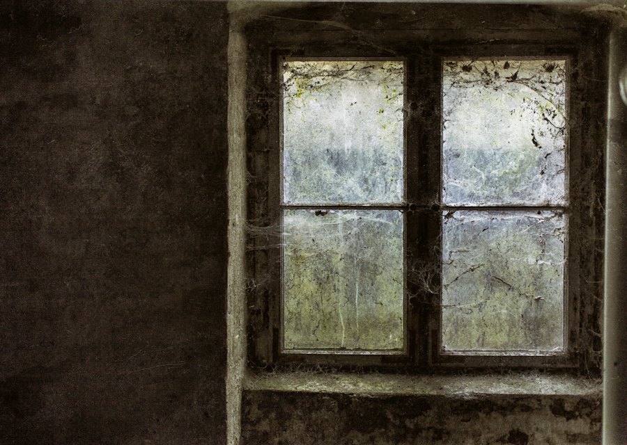 Before: windows, uncleaned (example image)